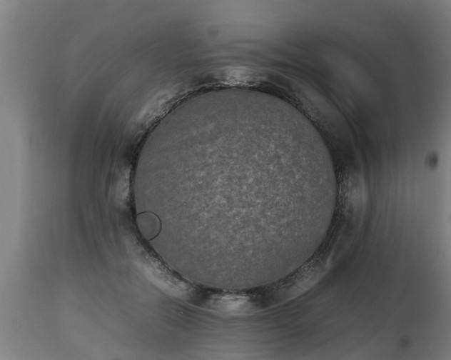 X0000112850554200908281606