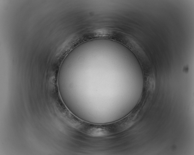 X0000112850557200908281606