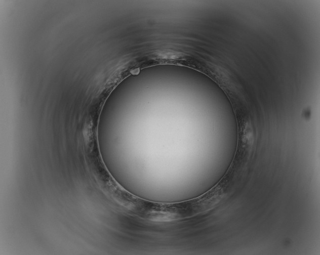 X0000112850559200908281606