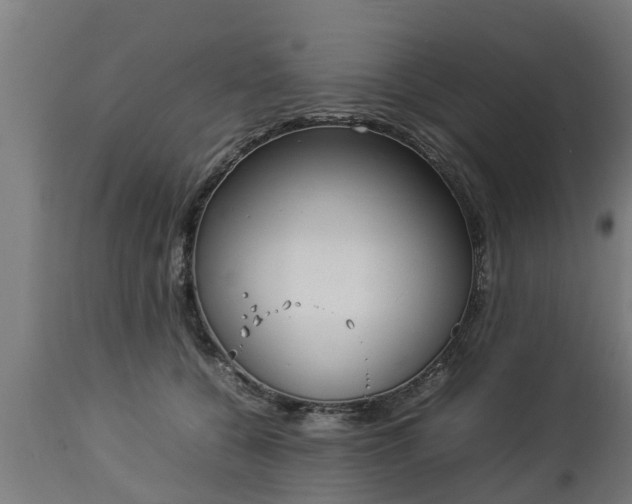 X0000112850560200908281606