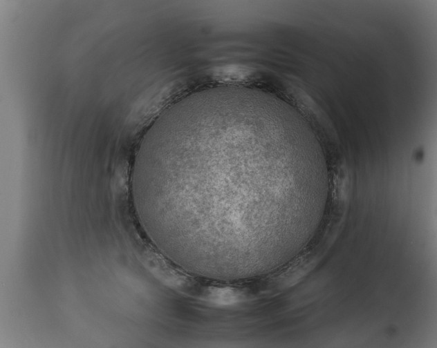 X0000112850561200908281606