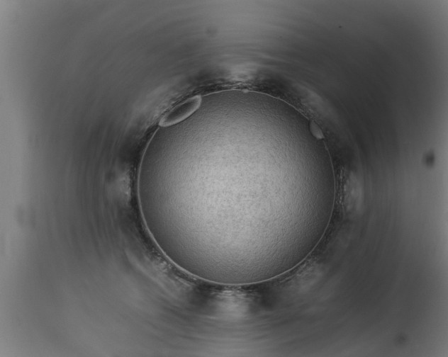 X0000112850562200908281606