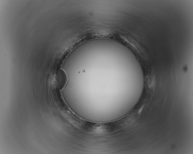 X0000112850564200908281606