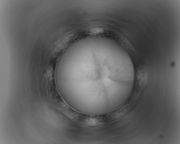 X0000112850565200908281606