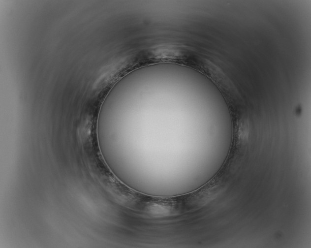 X0000112850567200908281606