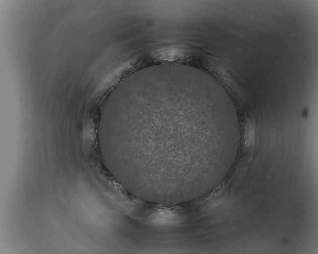 X0000112850569200908281606