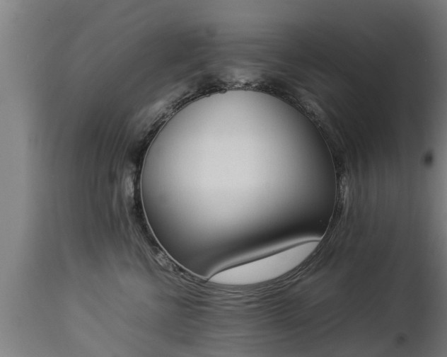 X0000112850570200908281606