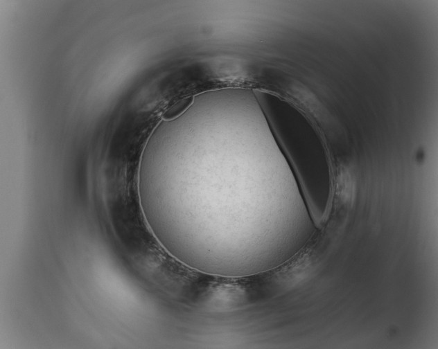 X0000112850572200908281606