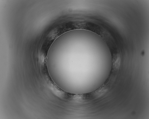 X0000112850574200908281606