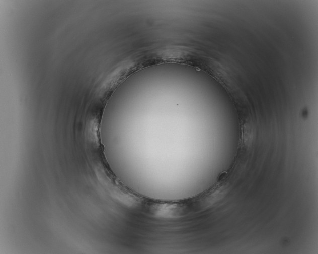 X0000112850575200908281606