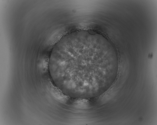 X0000112850576200908281606
