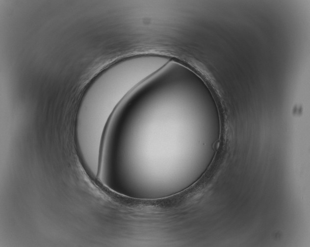 X0000112850577200908281606