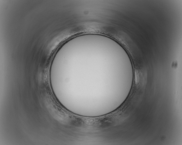 X0000112850579200908281606