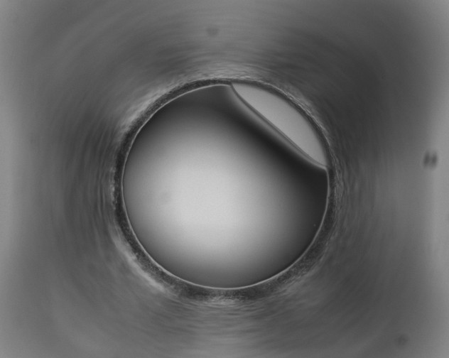 X0000112850581200908281606