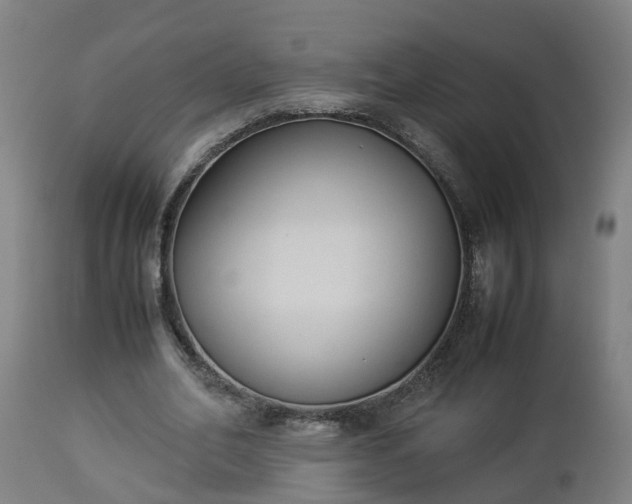 X0000112850582200908281605