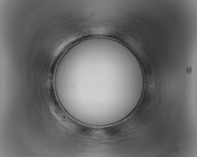 X0000112850583200908281605