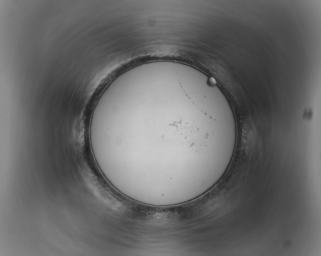 X0000112850584200908281605