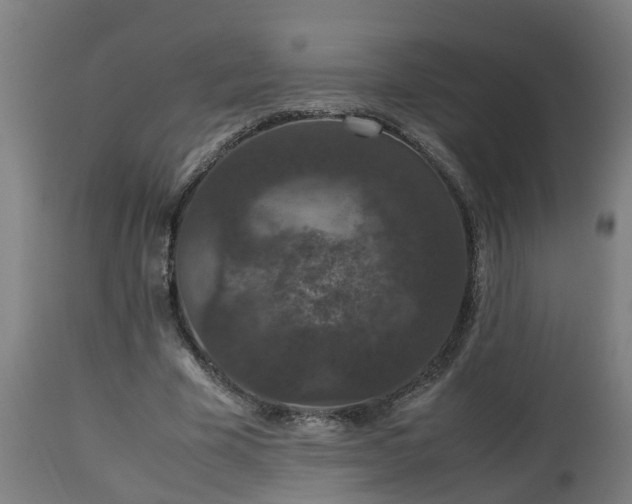 X0000112850585200908281605