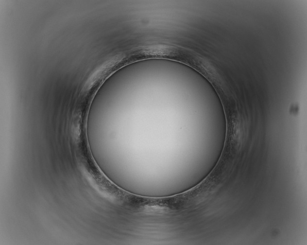 X0000112850586200908281605