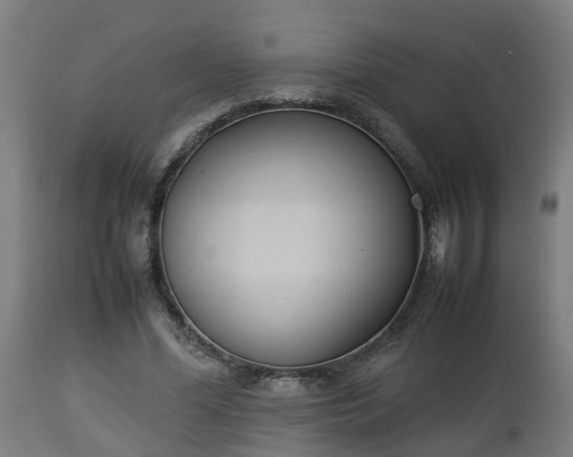 X0000112850588200908281605