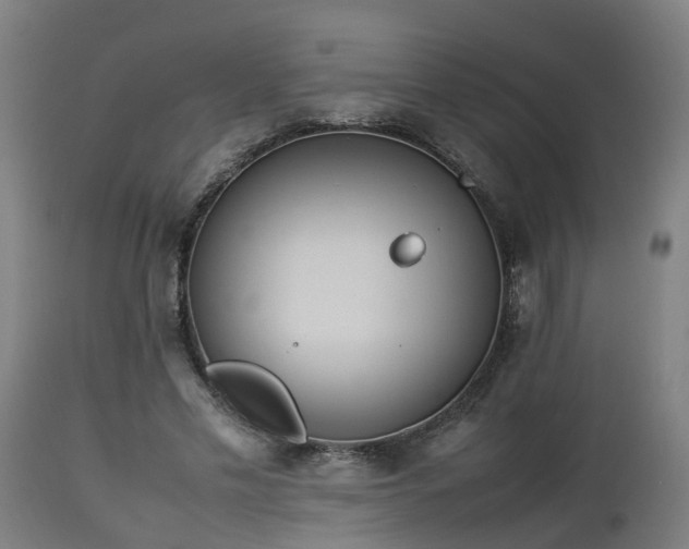X0000112850589200908281605
