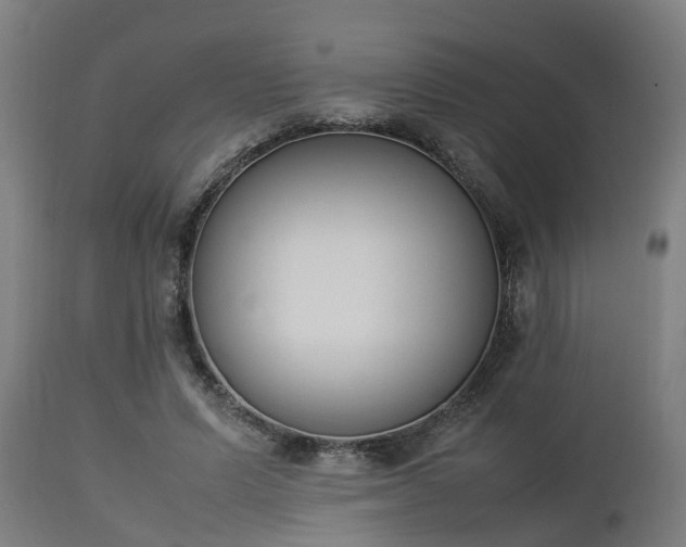 X0000112850591200908281605