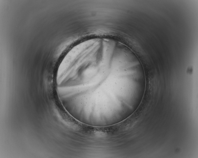X0000112850592200908281605