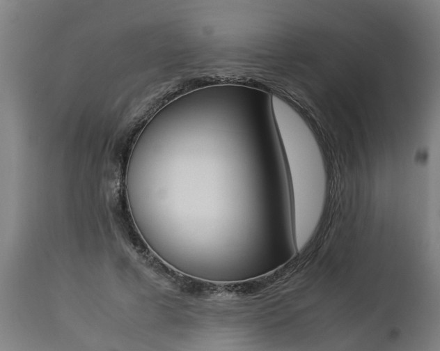 X0000112850593200908281605