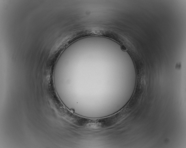 X0000112850595200908281605