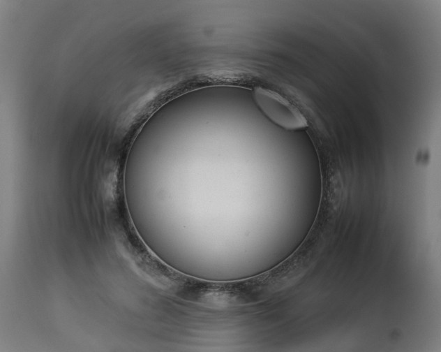 X0000112850596200908281605