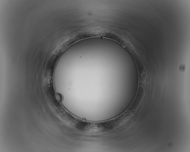 X0000112850597200908281605
