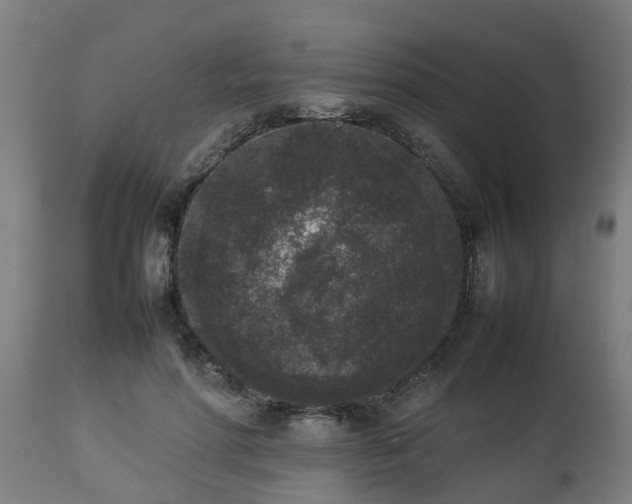X0000112850598200908281605
