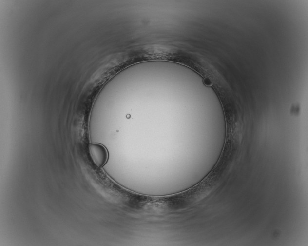 X0000112850599200908281605