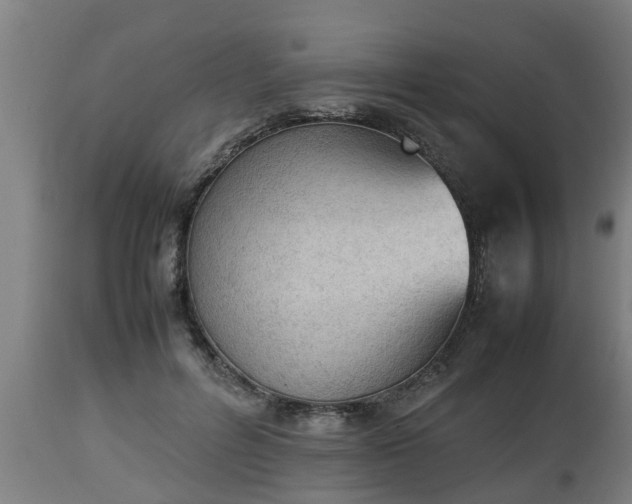 X0000112850600200908281605