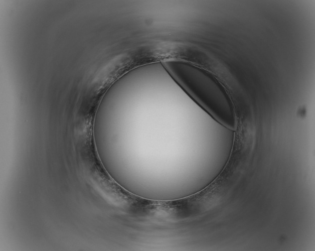 X0000112850601200908281605