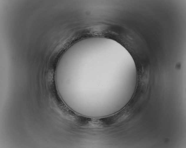 X0000112850603200908281605