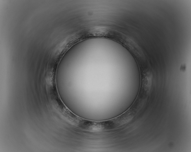 X0000112850604200908281605