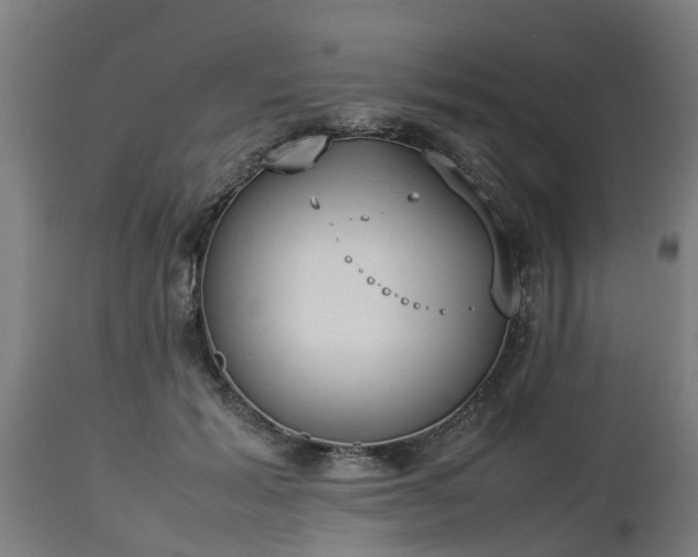 X0000112850605200908281605