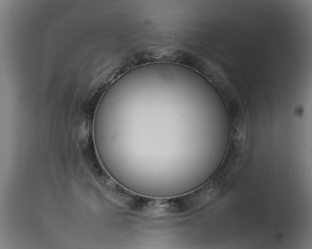 X0000112850607200908281605