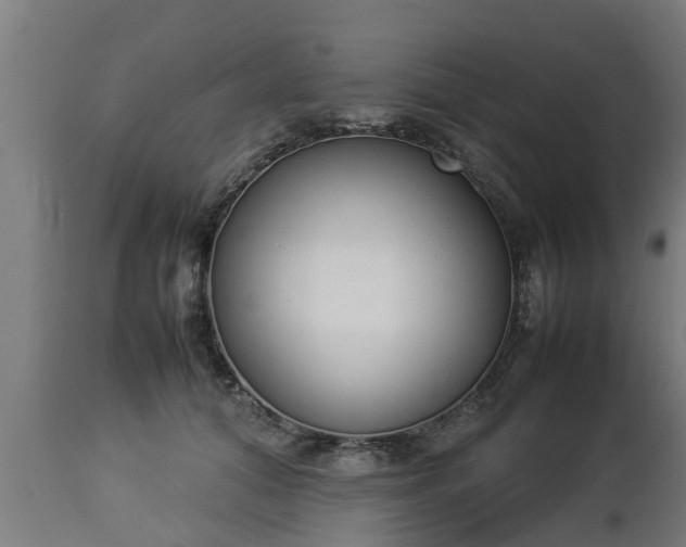 X0000112850608200908281605