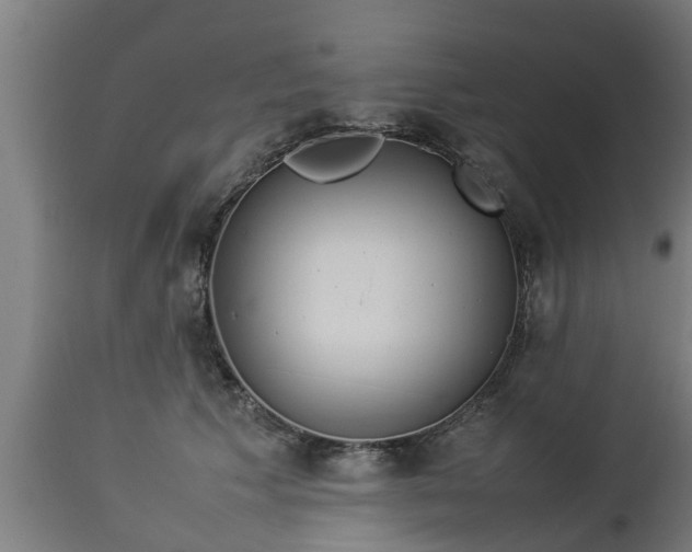 X0000112850609200908281605
