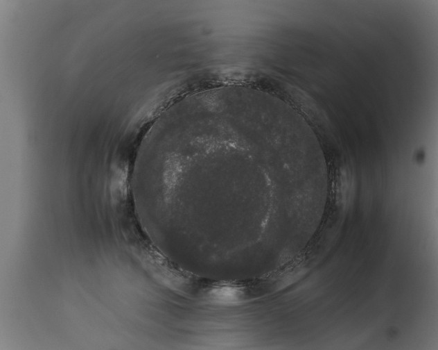 X0000112850610200908281605