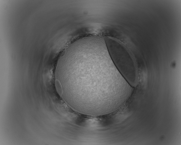 X0000112850611200908281605