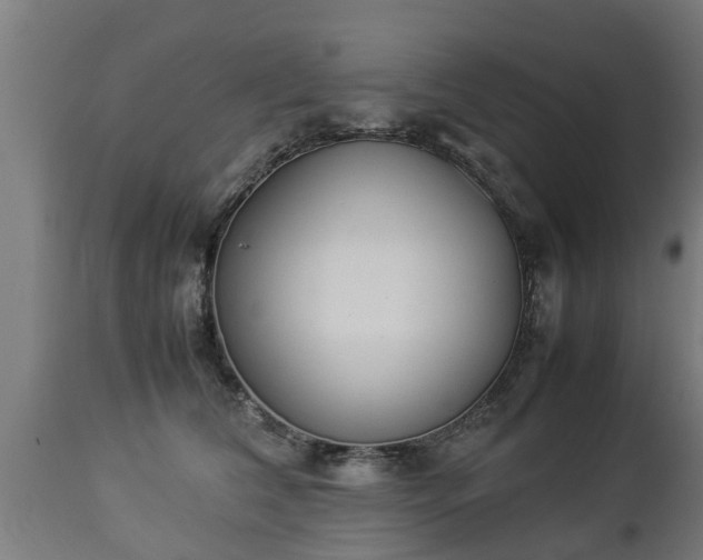 X0000112850612200908281605