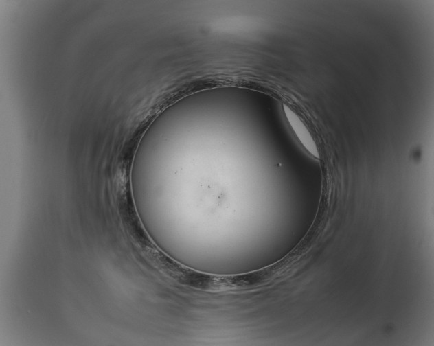 X0000112850613200908281605