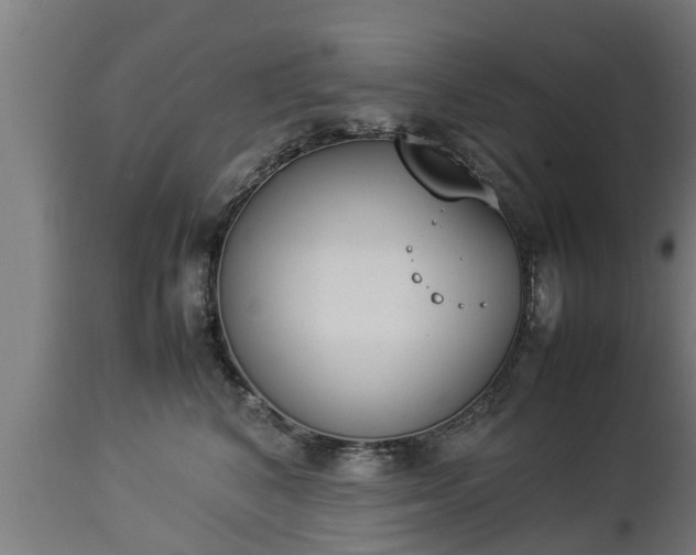 X0000112850616200908281605