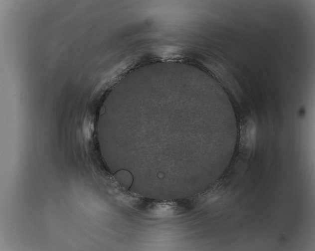X0000112850618200908281605