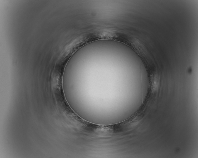 X0000112850619200908281605
