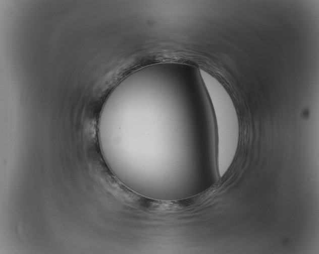 X0000112850621200908281605