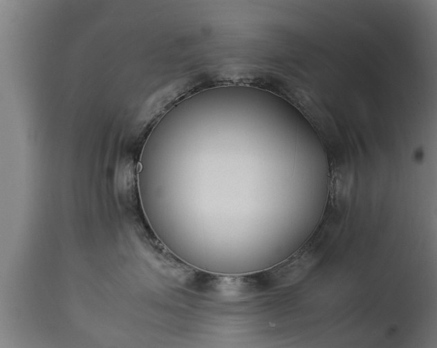 X0000112850623200908281605